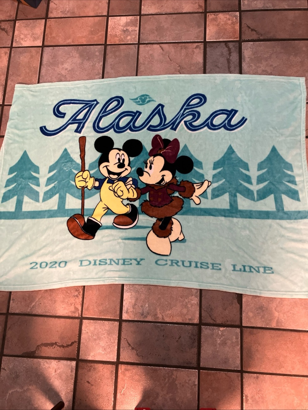 2020 Disney Cruise Line Alaska Mickey Minnie Mouse Soft Fleece Blanket Blue RARE